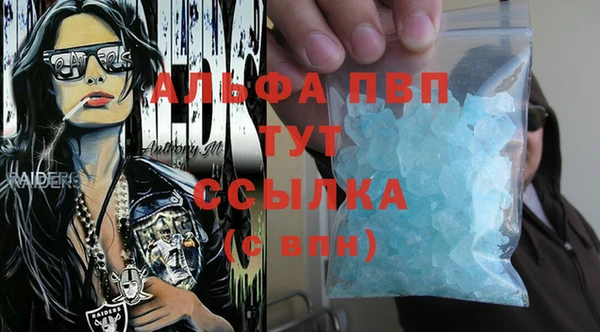 стаф Бугульма