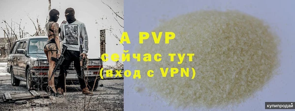 стаф Бугульма