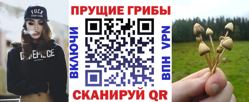 Галлюциногенные грибы мухоморы  МЕГА ссылки  Семилуки 